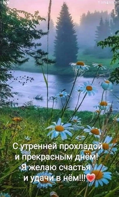 Яркие пожелания для Открытки с добрым июньским утром