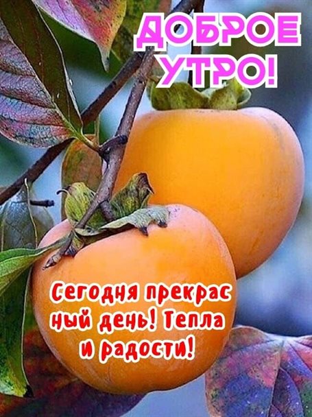 Пусть в жизни будет больше праздников