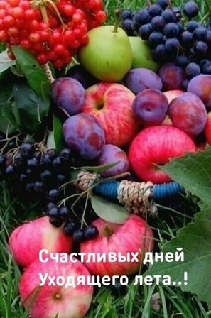 От души: Открытки с добрым августовским утром
