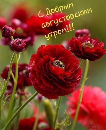 Пусть день будет незабываемым