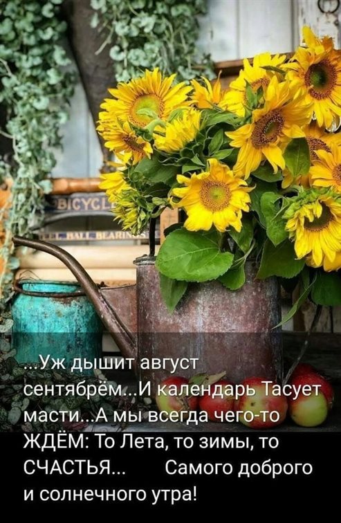 Теплые слова для Открытки с добрым августовским утром
