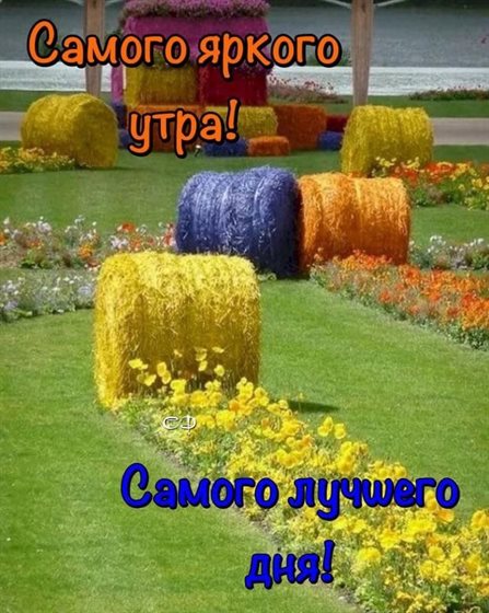 От души: Открытки с добрым августовским утром