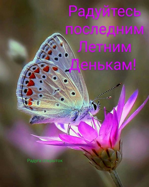 Теплые поздравления