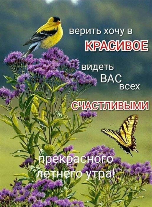 Теплые слова для Открытки с добрым августовским утром