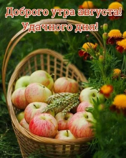 Лучшие пожелания