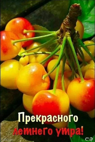 Радостная открытка