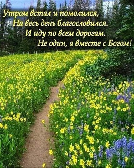Нежные поздравления для Открытки с добрым августовским утром