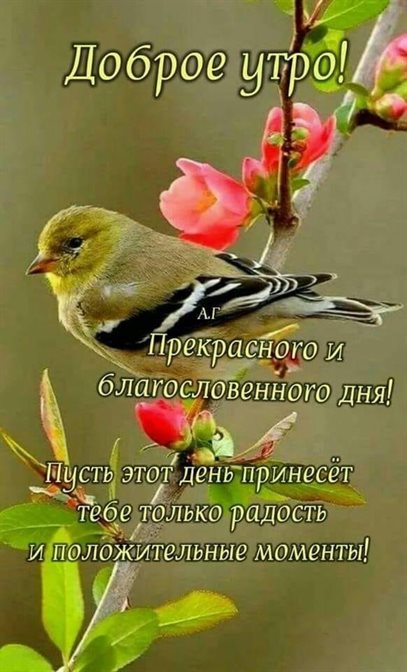 Луч света в ваш день