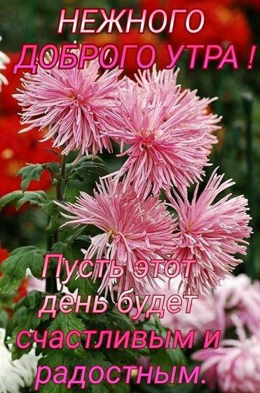 С наилучшими пожеланиями