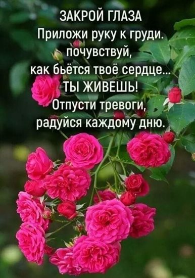 Теплые слова для Открытки с добрым августовским утром