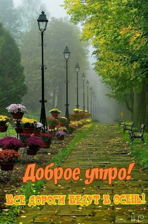 Больше радости в жизни