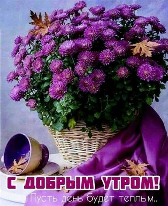 Светлые пожелания