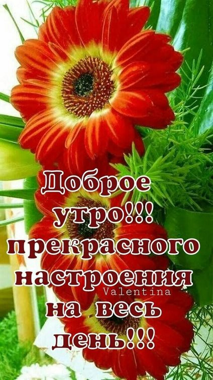 Пусть радость будет с вами