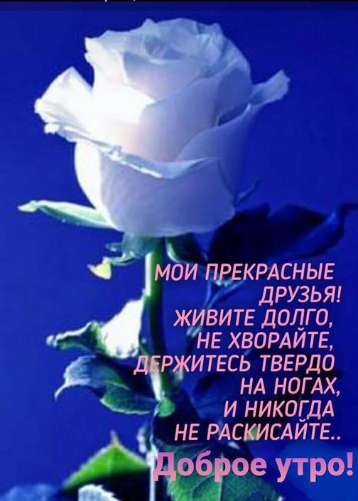 Улыбок, любви и тепла
