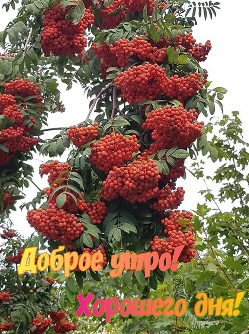 Искренние пожелания