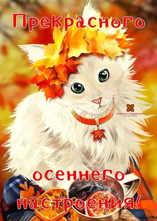 Пусть каждый день дарит счастье