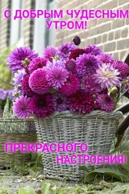 Пусть улыбка не сходит с лица