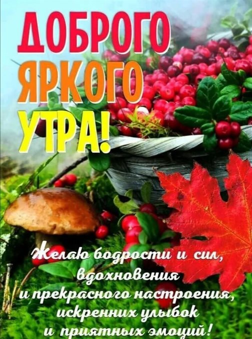 Подарите улыбку: Открытки с добрым октябрьским утром