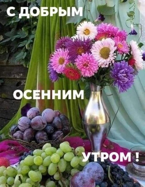 Немного тепла и заботы