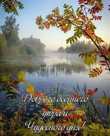 Теплые поздравления