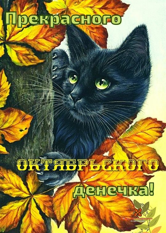 Счастья и удачи