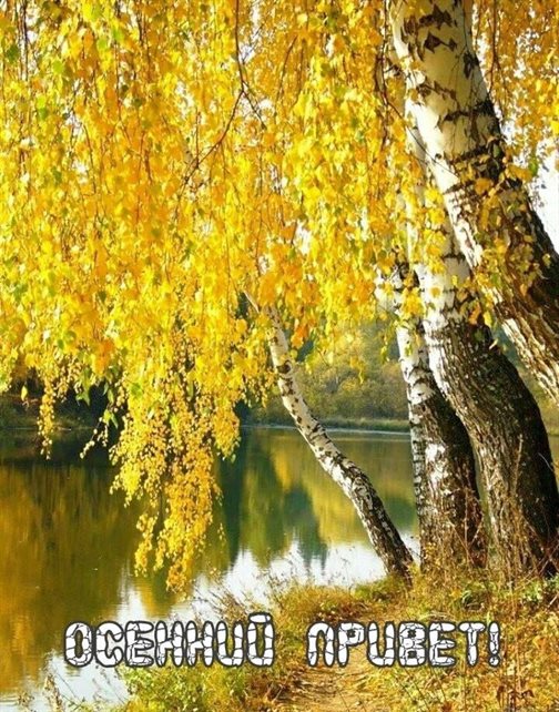 Пусть улыбка не сходит с лица