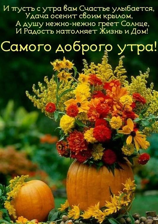 Пусть мечты сбываются