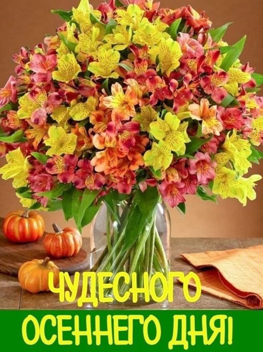 Теплые поздравления