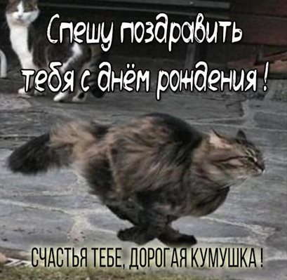 Милая открытка для вас
