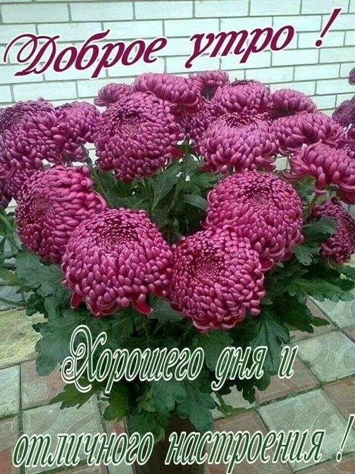 Пусть каждый день дарит счастье