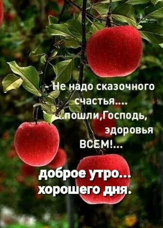 Пусть в жизни будет больше праздников