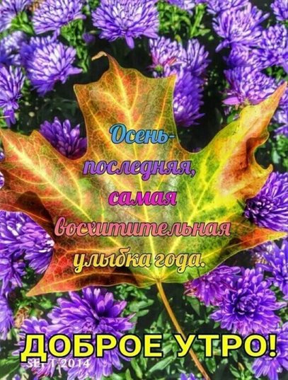 Улыбок, любви и тепла