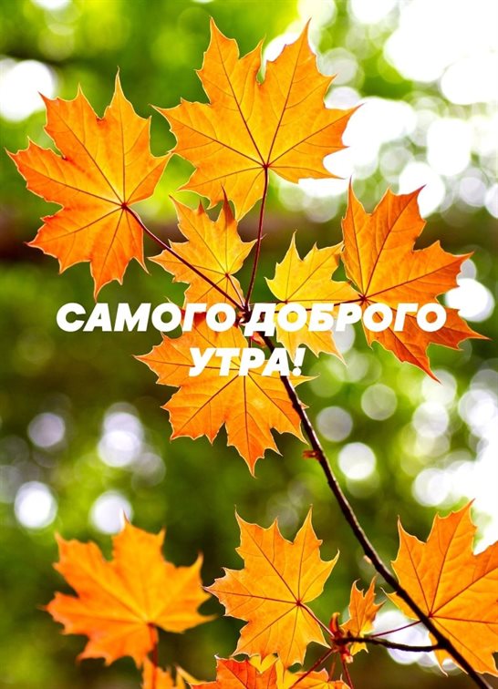Яркая открытка для вас