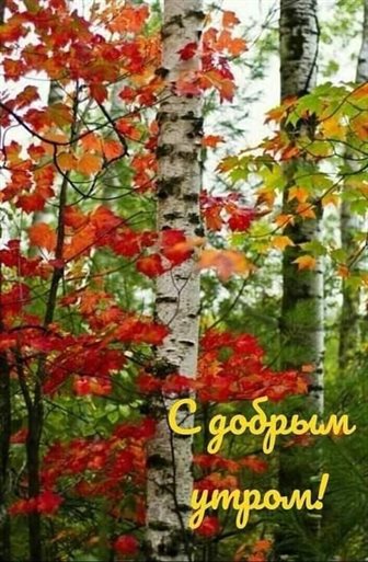 Красивая открытка для Открытки с добрым октябрьским утром