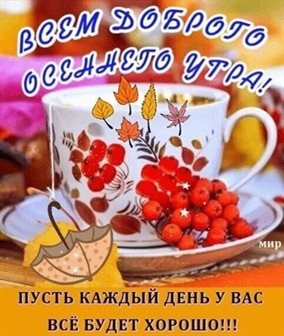 Немного тепла и заботы