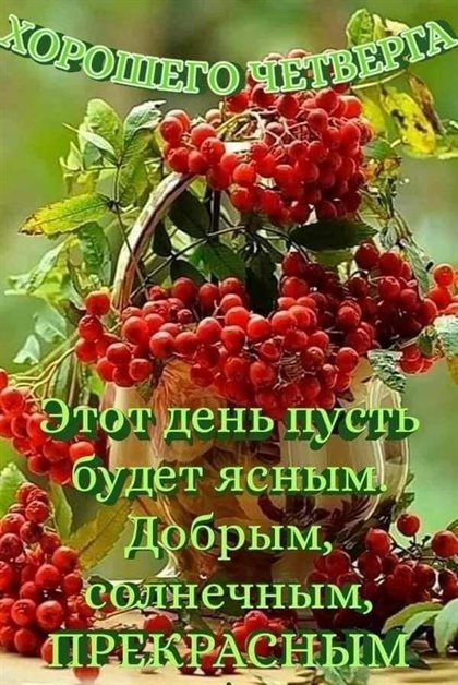 Нежные поздравления для Открытки с добрым утром четверга