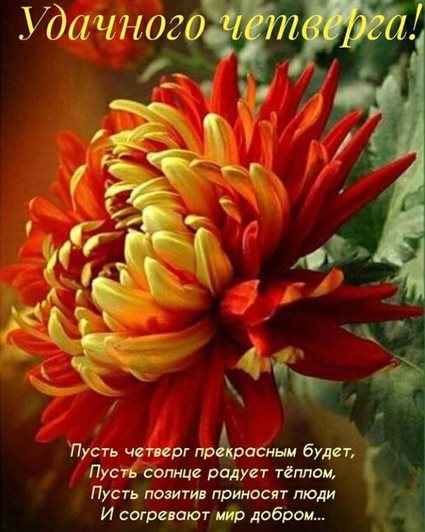 Больше радости в жизни