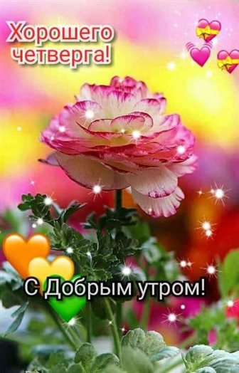 Улыбок, любви и тепла