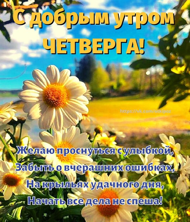 Пусть мечты сбываются