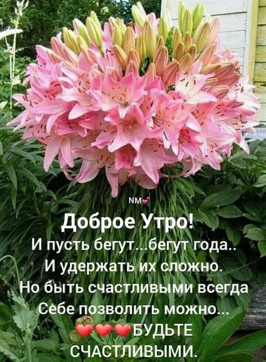 Особенная открытка для Открытки с добрым утром с природой