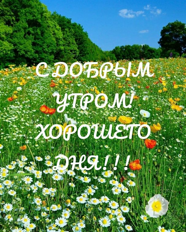 Пусть улыбка не сходит с лица