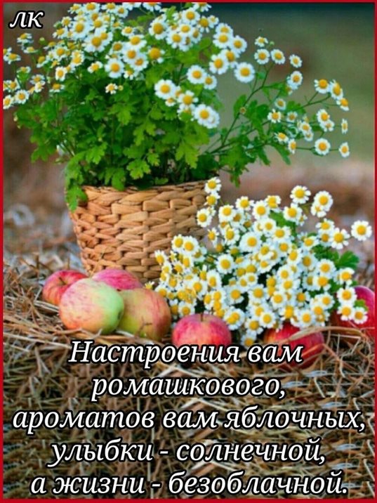 Доброта и забота