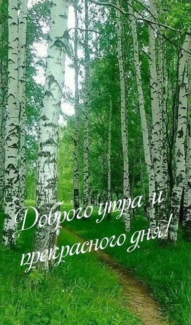 Позитивные эмоции для Открытки с добрым утром с природой