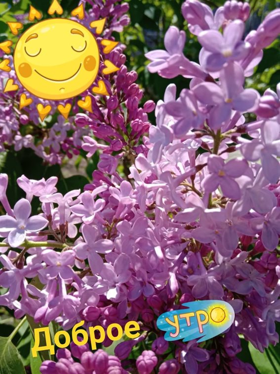 Немного тепла и заботы