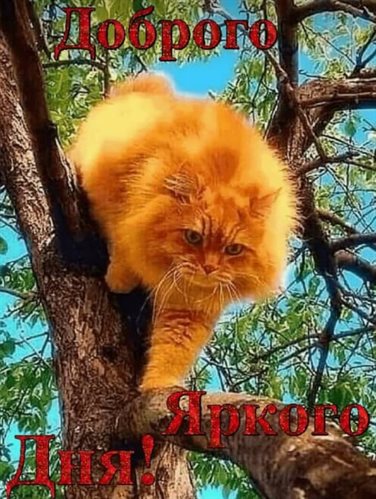 Теплые поздравления