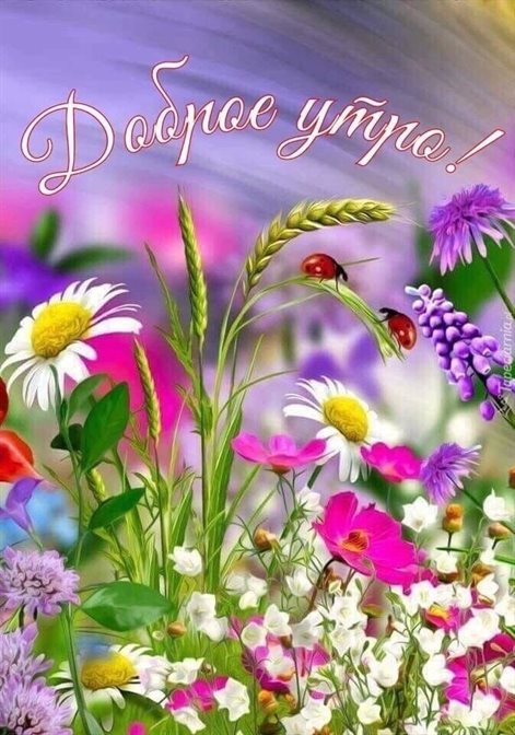 Пусть улыбка не сходит с лица