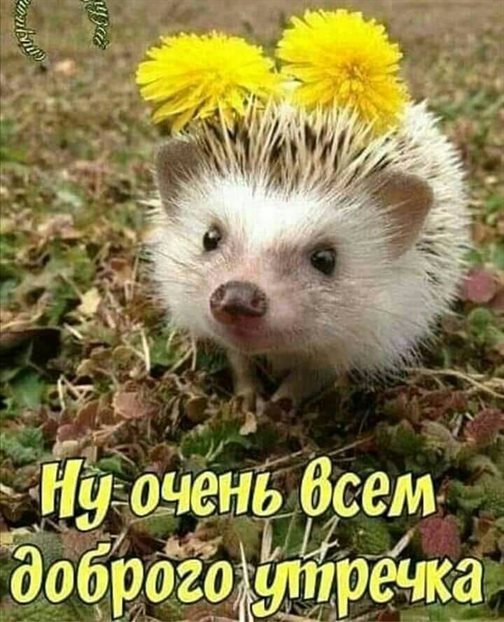 Улыбок, любви и тепла