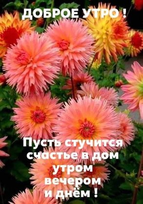 Немного тепла и заботы