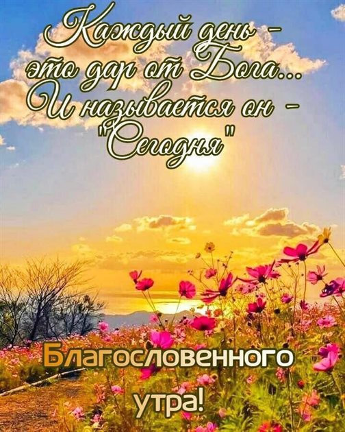 Открытки с добрым утром с природой — прекрасный выбор!