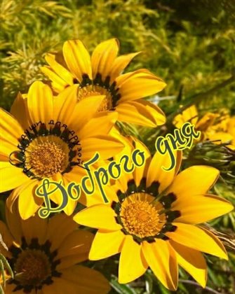 Пусть радость будет с вами